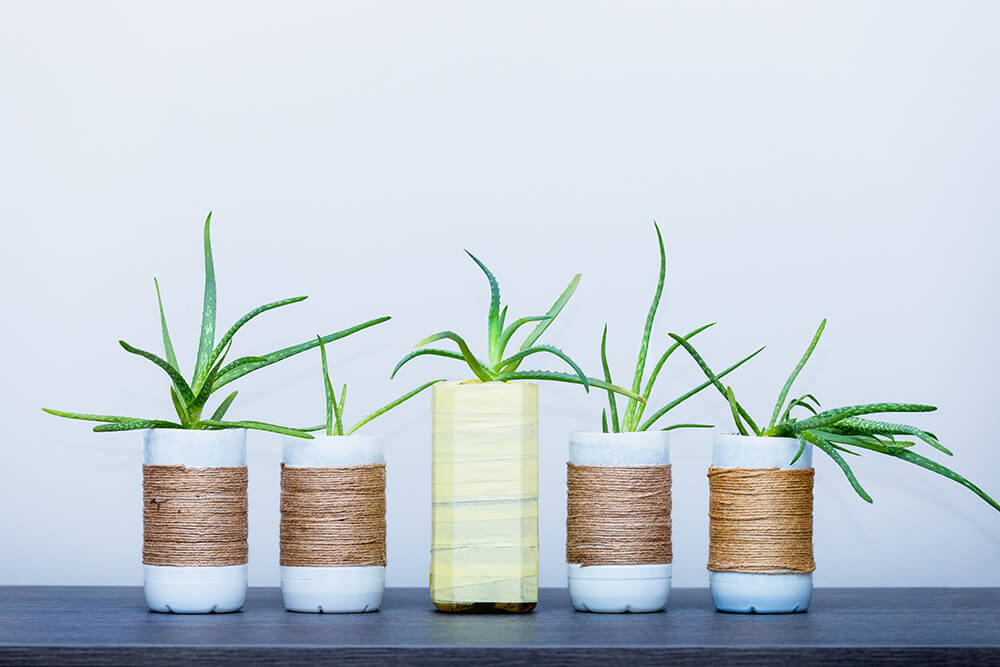 DIY Pot Plant Holders